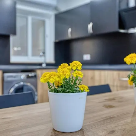 Modern 2-br With Views Of Valletta Apartment *